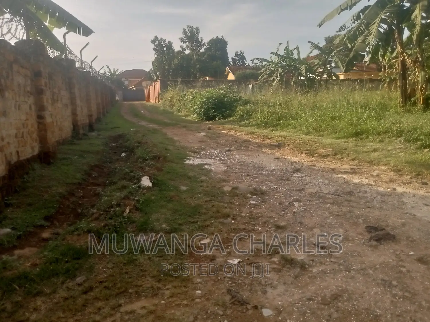 Quick 30decimals Plot for Sale in Bukoto