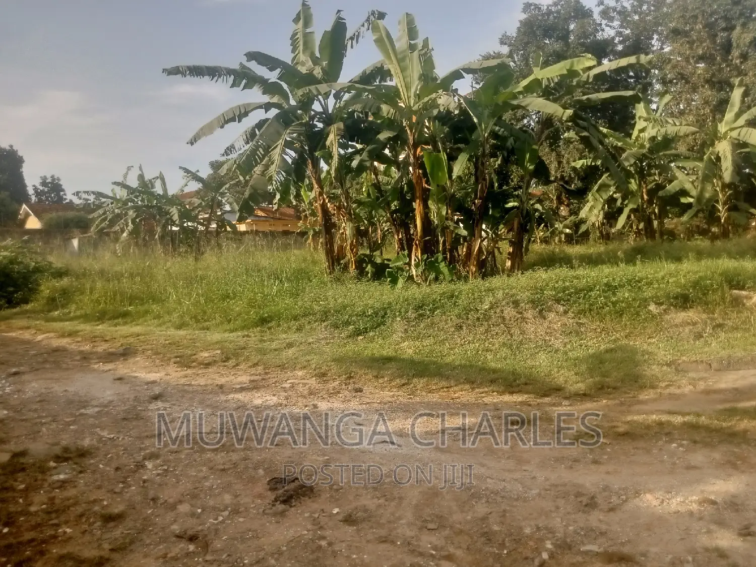 Quick 30decimals Plot for Sale in Bukoto