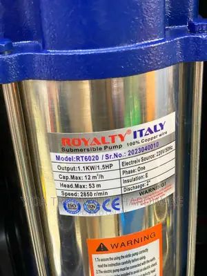 Water Pump Royalty Italy