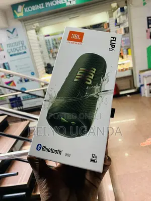JBL Flip 6