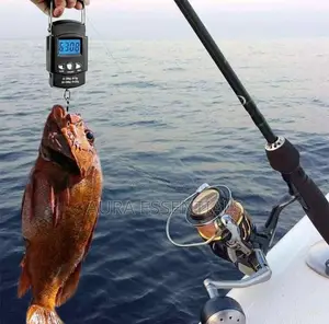 50kg Handy Portable Pocket Fishing Scale