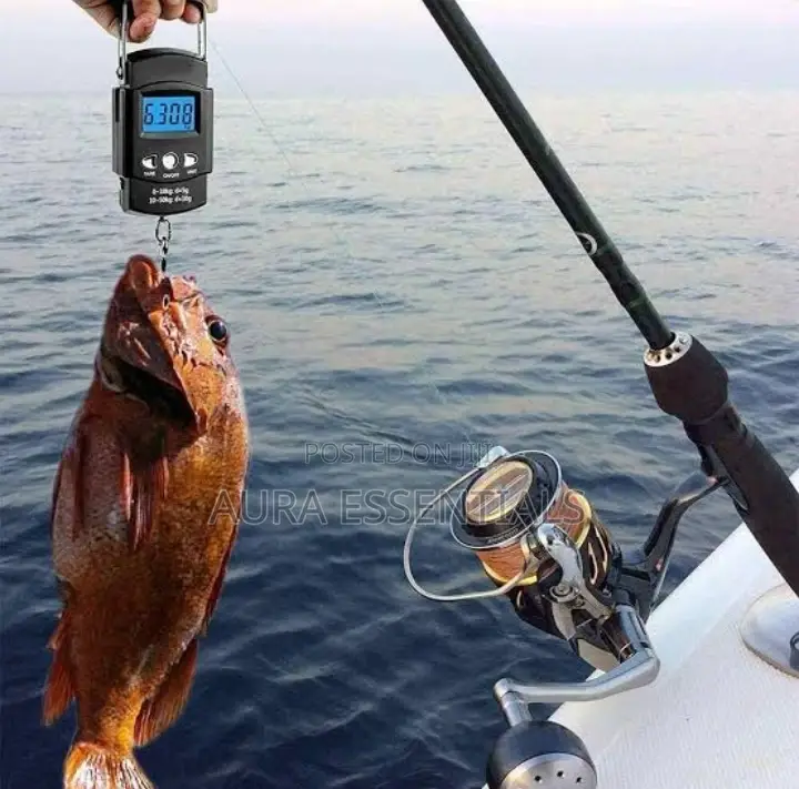 50kg Handy Portable Pocket Fishing Scale