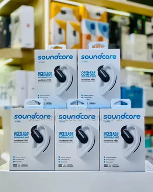 Anker Soundcore V30I Open Earphones