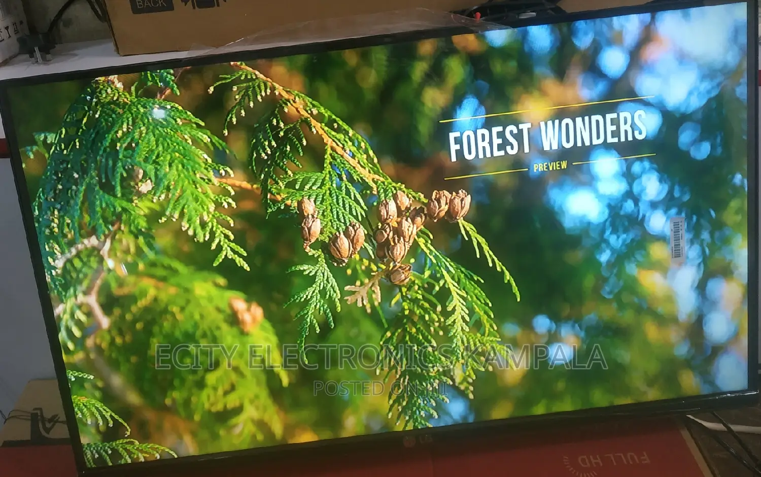 32"Inch Lg TV Digital