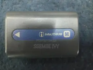 SONY Battery.