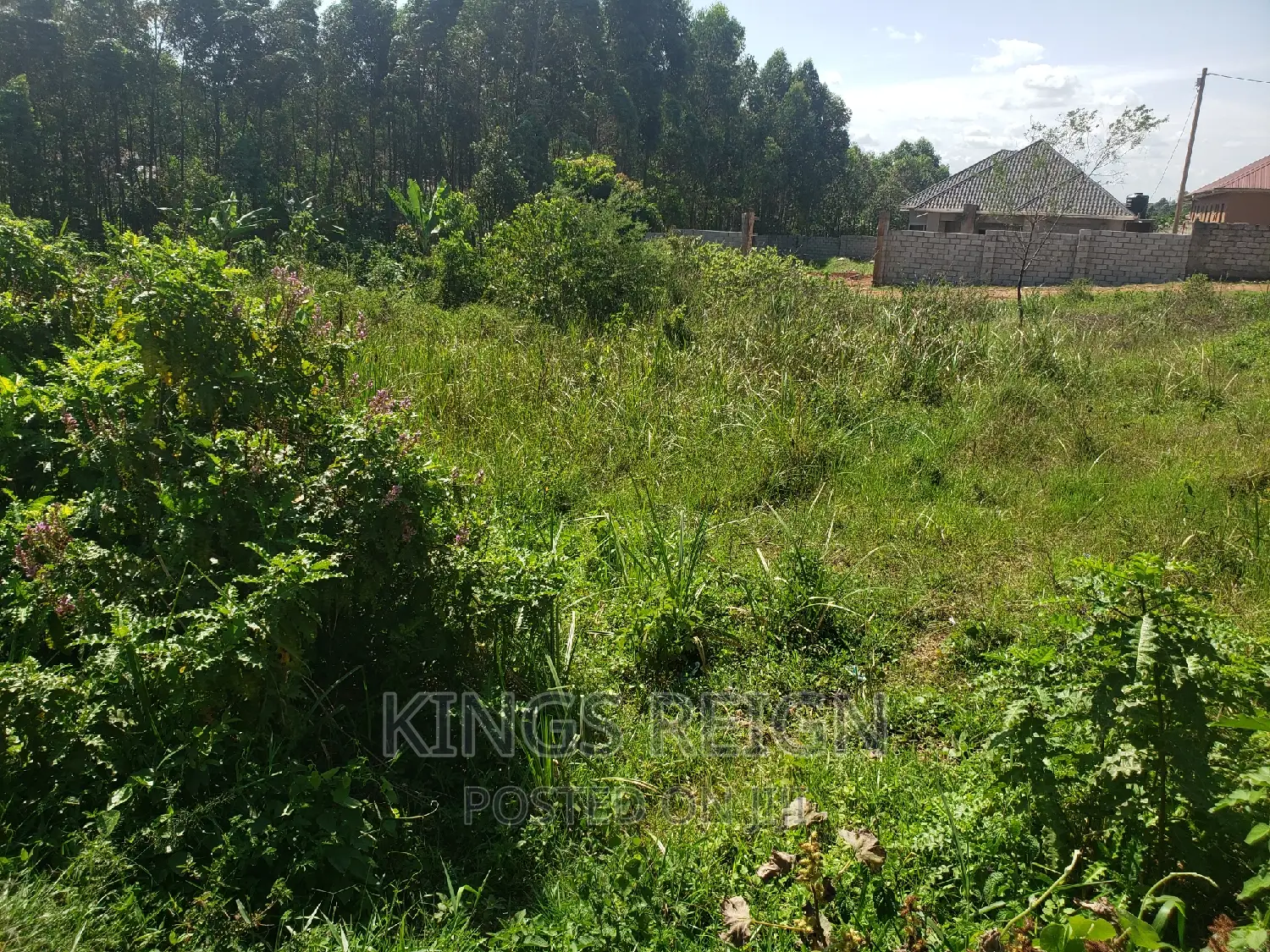 200ft by 100ft Plot Namere Mpererwe