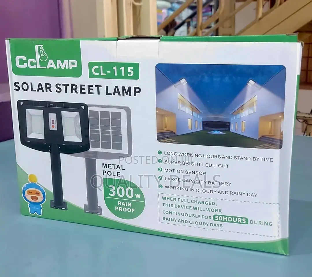 Wall Mounted Double Solar Street Lights