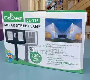 Wall Mounted Double Solar Street Lights