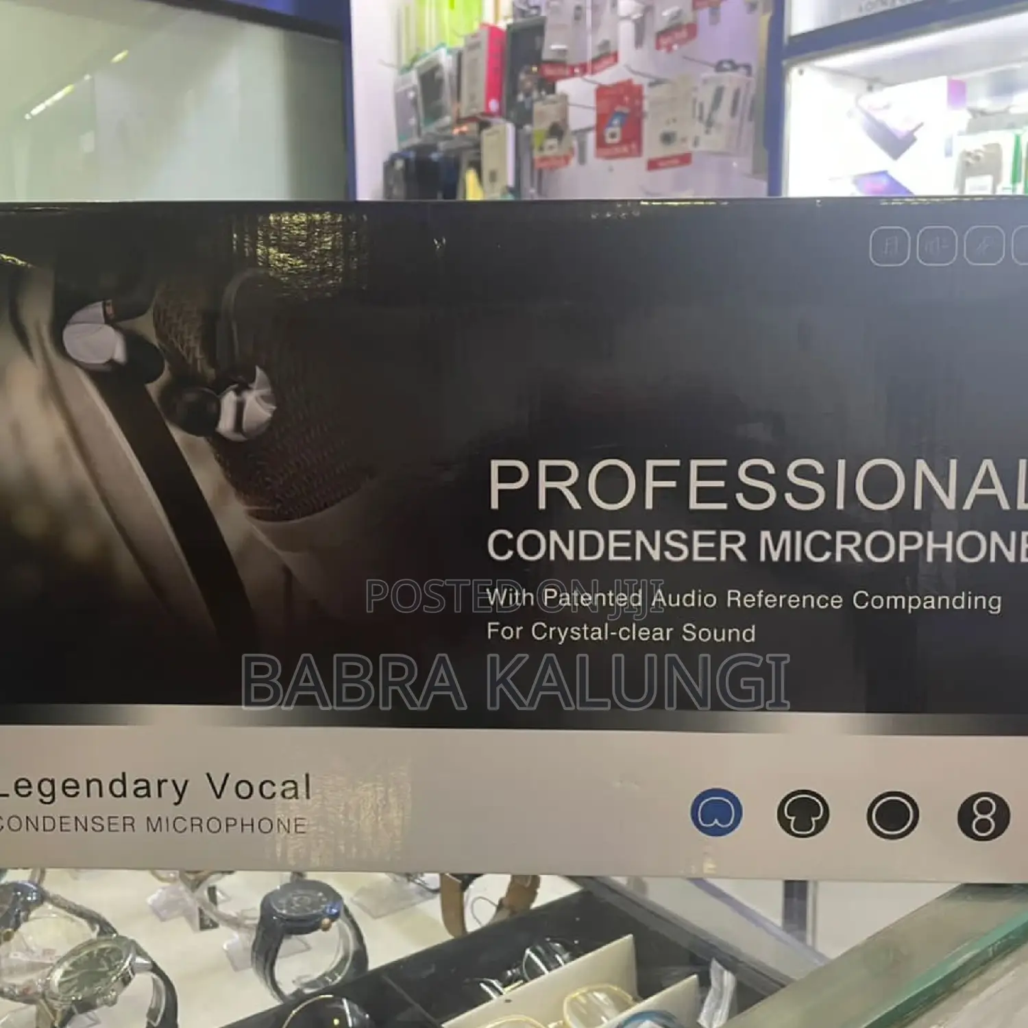 Professional Condenser Microphone