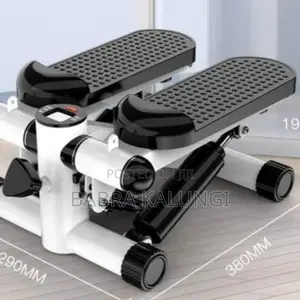 Mini Gym Stepper Machine
