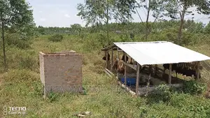 Luwero Katugo Nakasongola