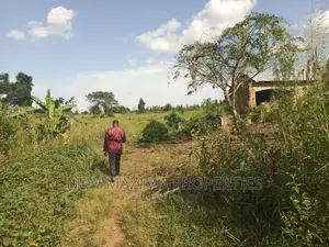30 Decimals on Forced Sale in Heart of Matuga Gombe Titled