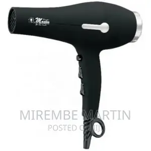 Electro Master EM-HD-1316 Hair Dryer – Black