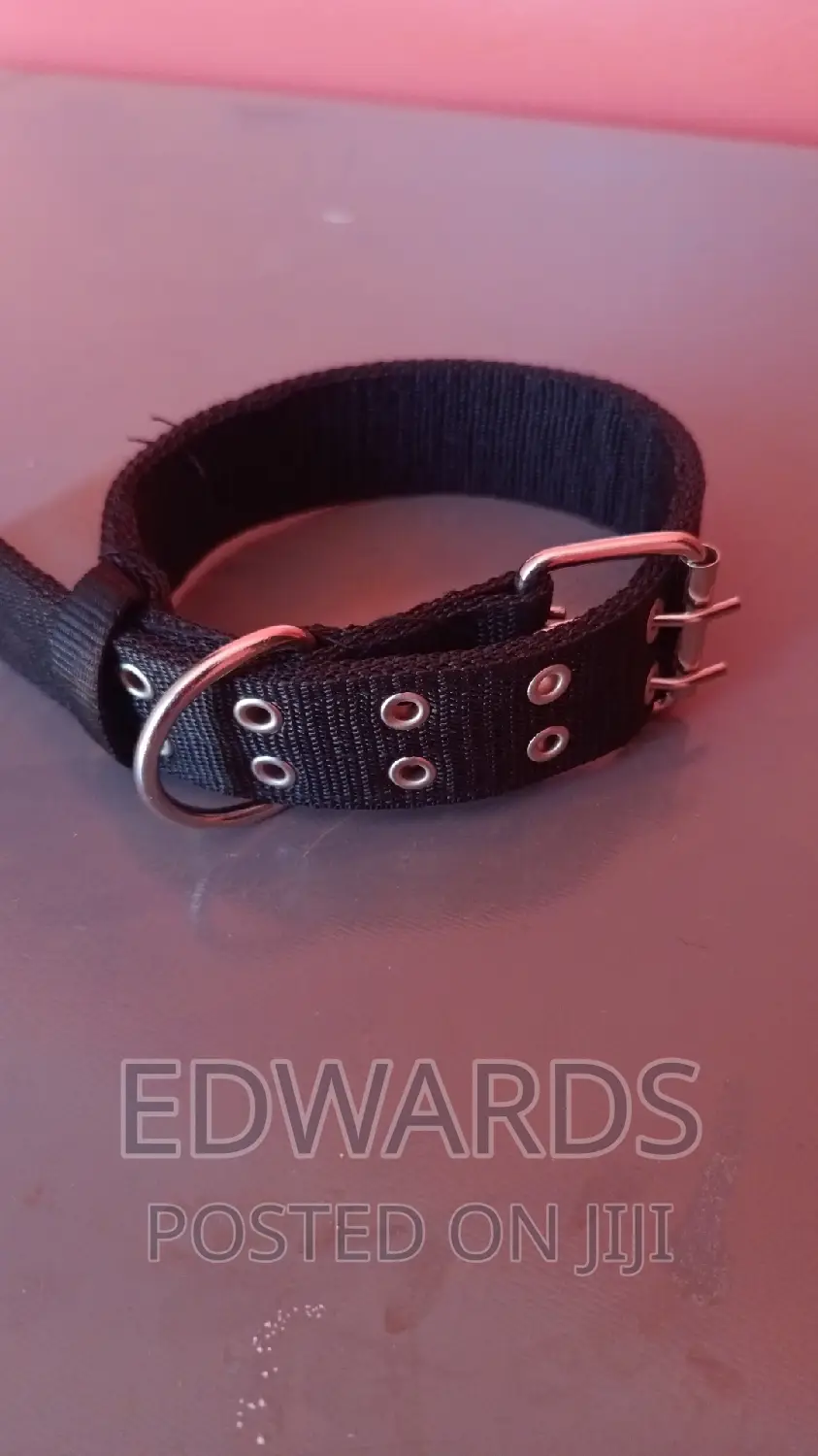 Black Dog Collars