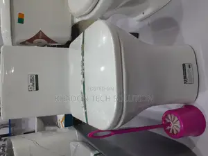 Liangde White Toilet