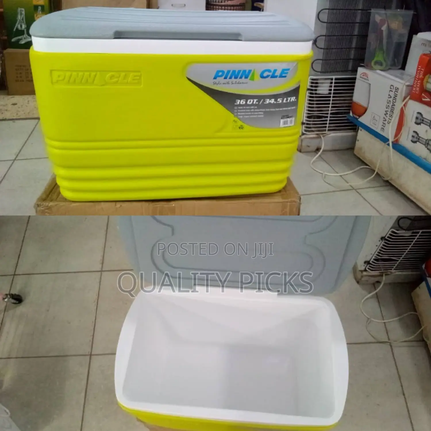 Plastic Pinnacle Ice Box