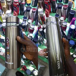 Stainless Vacuum Bottle