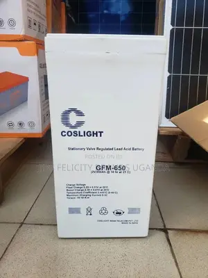 Coslight 2V 650ah Batteries