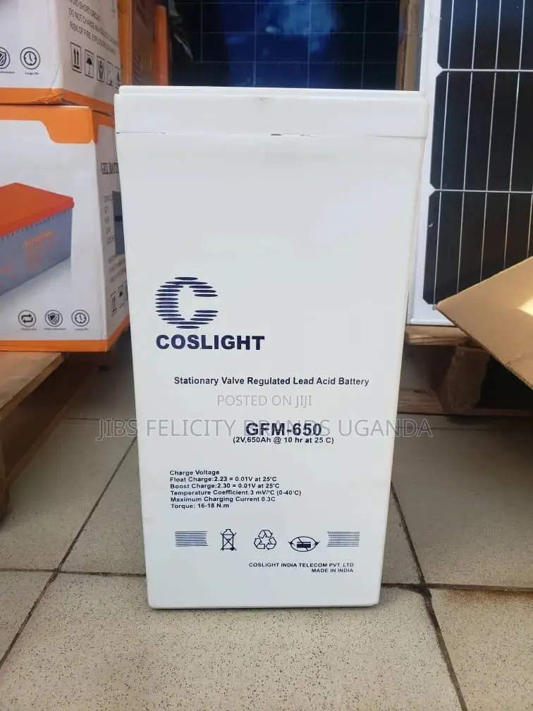 Coslight 2V 650ah Batteries