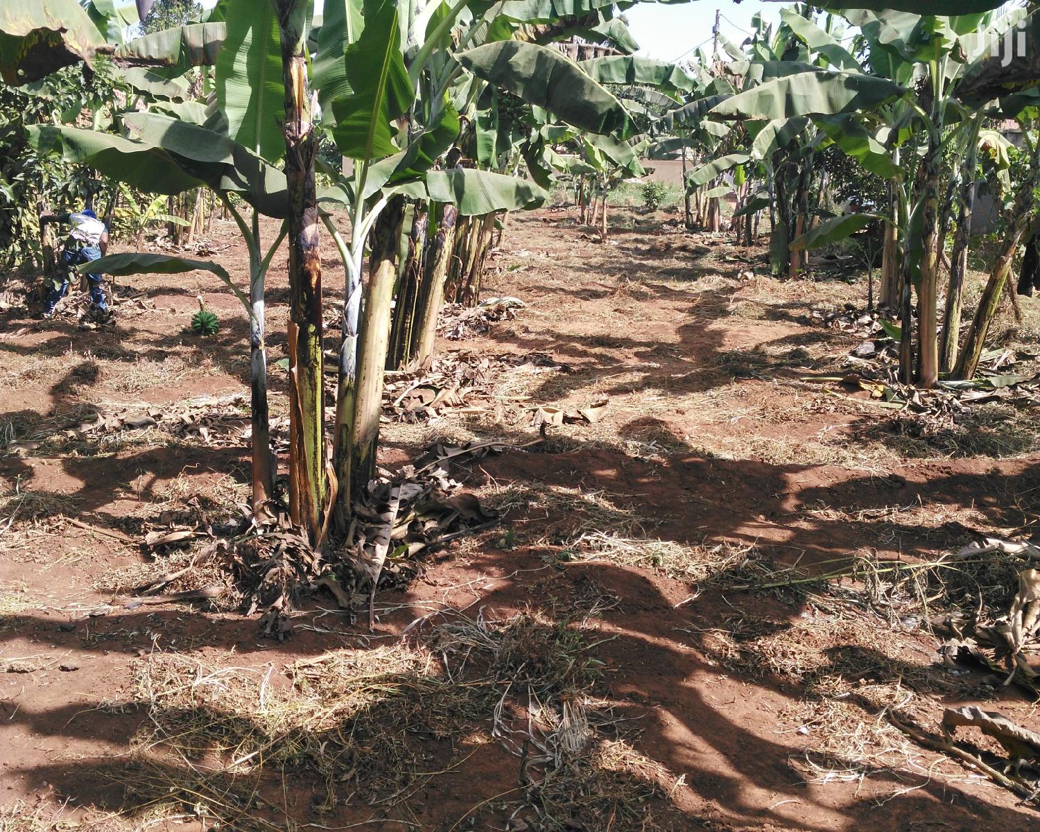 16.3 Decimals Located at Sonde for Sale