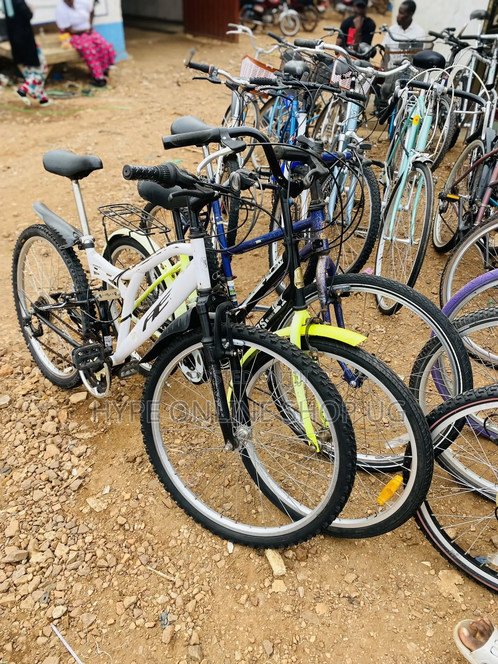 Bicycle Rides