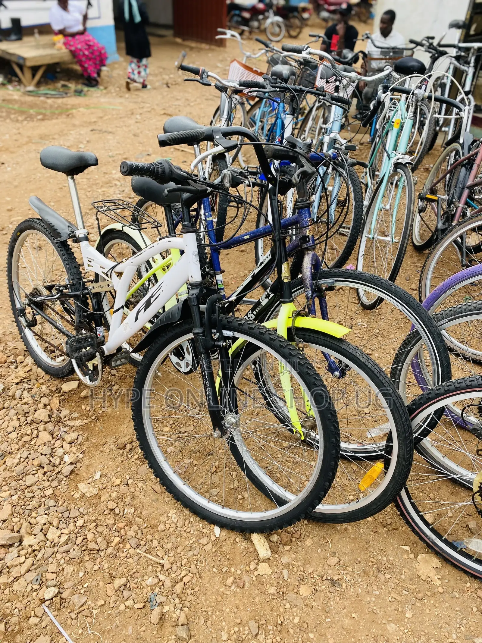 Bicycle Rides
