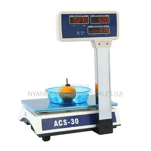 Multfunctional Electronic Price Computing Scales [2]
