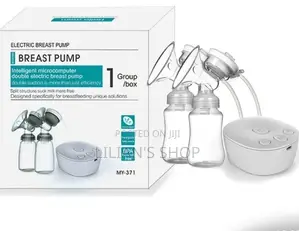 Intelligent Microcomputer Double Electric Pump
