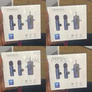 Mini Wireless Microphone