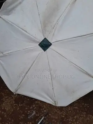 Magic Umbrellas