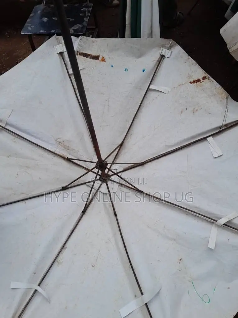 Magic Umbrellas