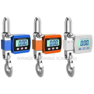 300kg Weighing Scale Calibrated Weigh Precision Hanging Weighing Scale