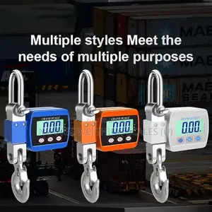 300kg Weigh Calibrated Weighing Scale Precision Hanging Weighing Scale