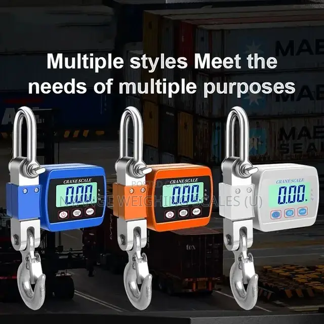 300kg Weigh Calibrated Weighing Scale Precision Hanging Weighing Scale