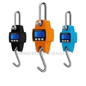 300kg Weigh Digital Weighing Scale Precision Hanging Weighing Scale