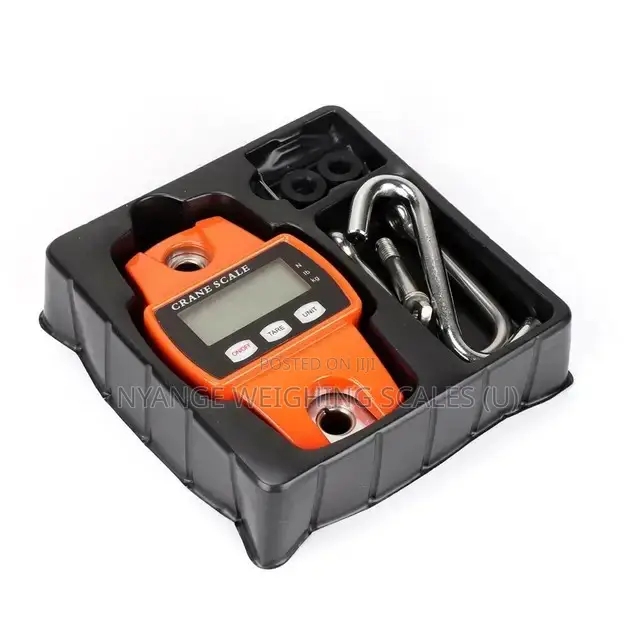 High Quality Accurate Platform Floor Scale [4]