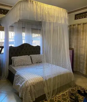 White Wall Mosquito Net