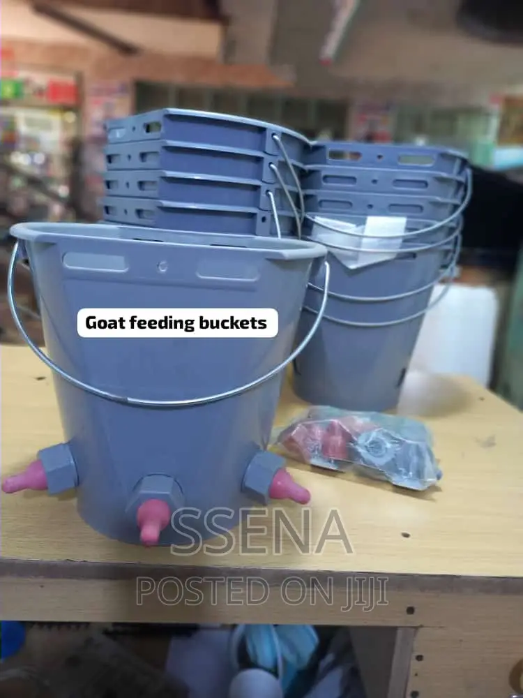 Goat Feeding Buckets