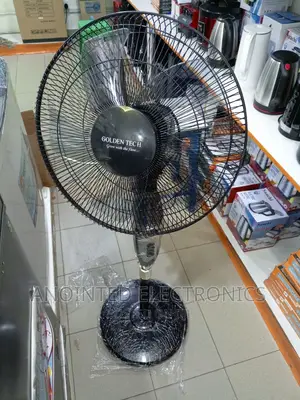Goldentech Standing Fans