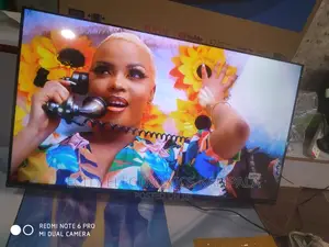 42"Inch LG Digital