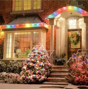 Home Outdoor Decoration Bulb Lights String Lights 10m RGB