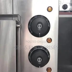 Electric Household and Commercial Oven With Burners