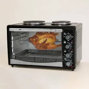 Electric Household and Commercial Oven With Burners