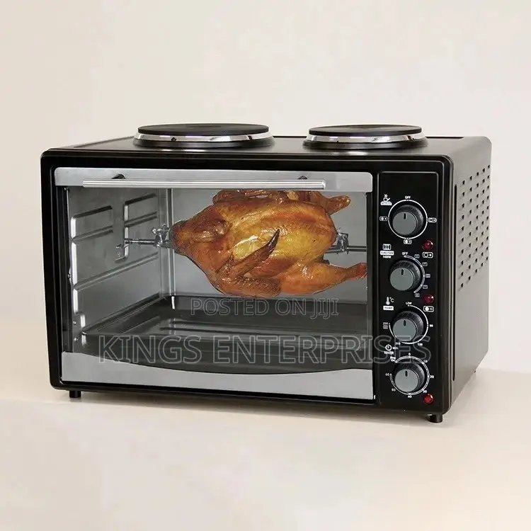 Electric Household and Commercial Oven With Burners