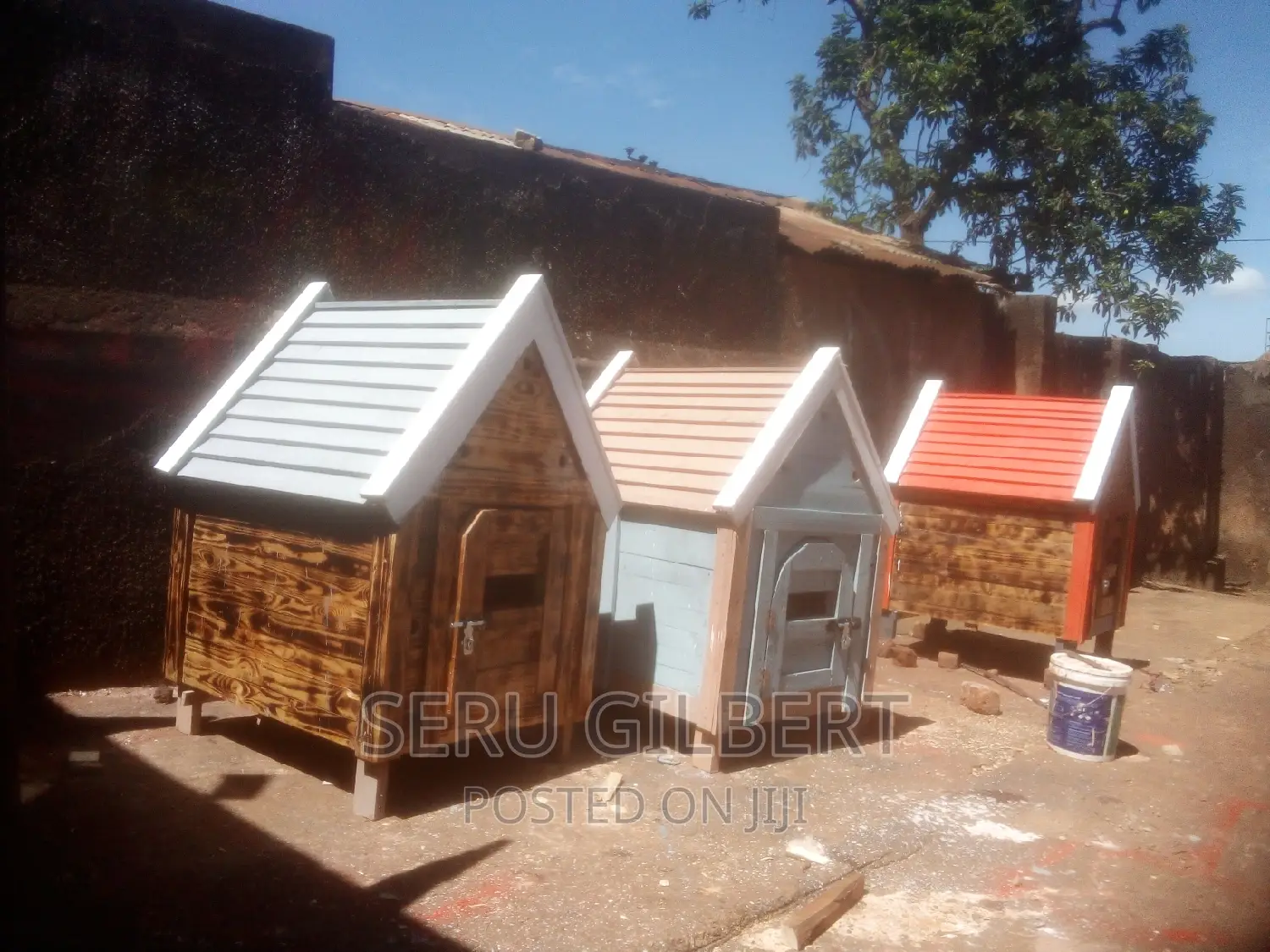 BFDFV Dog House Available