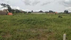 Wakiso Kayunga Town Commercial Plots 50ft by 100ft for Sale