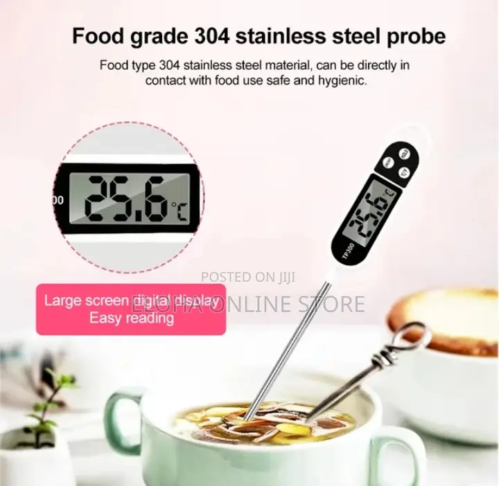 Electronic Food Thermometer