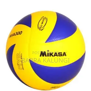 Mikasa Volleyball _ Blue, Yellow