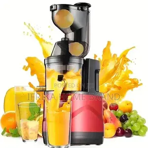 Quiet and Portable Slow Chewing Juicer for Fruits Vegetables