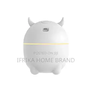 Humidifier Portable USB Ultrasonic Aroma Diffuser Cool Mist